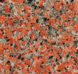 Marple Red (Марпл рэд), фото Купить Marple Red (Марпл рэд) в Екатеринбурге